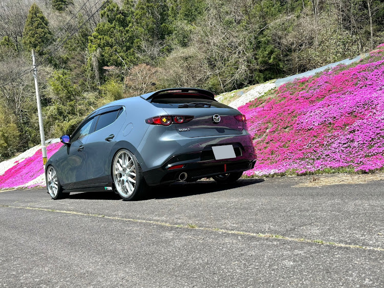 MAZDA3の4月もよろしくお願い致します🌸・島根県安来市広瀬町・隣の県まで行って来ました・加納やまさやレストラン・芝桜とコラボに関するカスタム事例の投稿画像3枚目