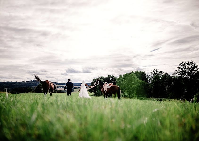 Fotografo di matrimoni Vratislav Jenšík (jensik). Foto del 13 novembre 2017