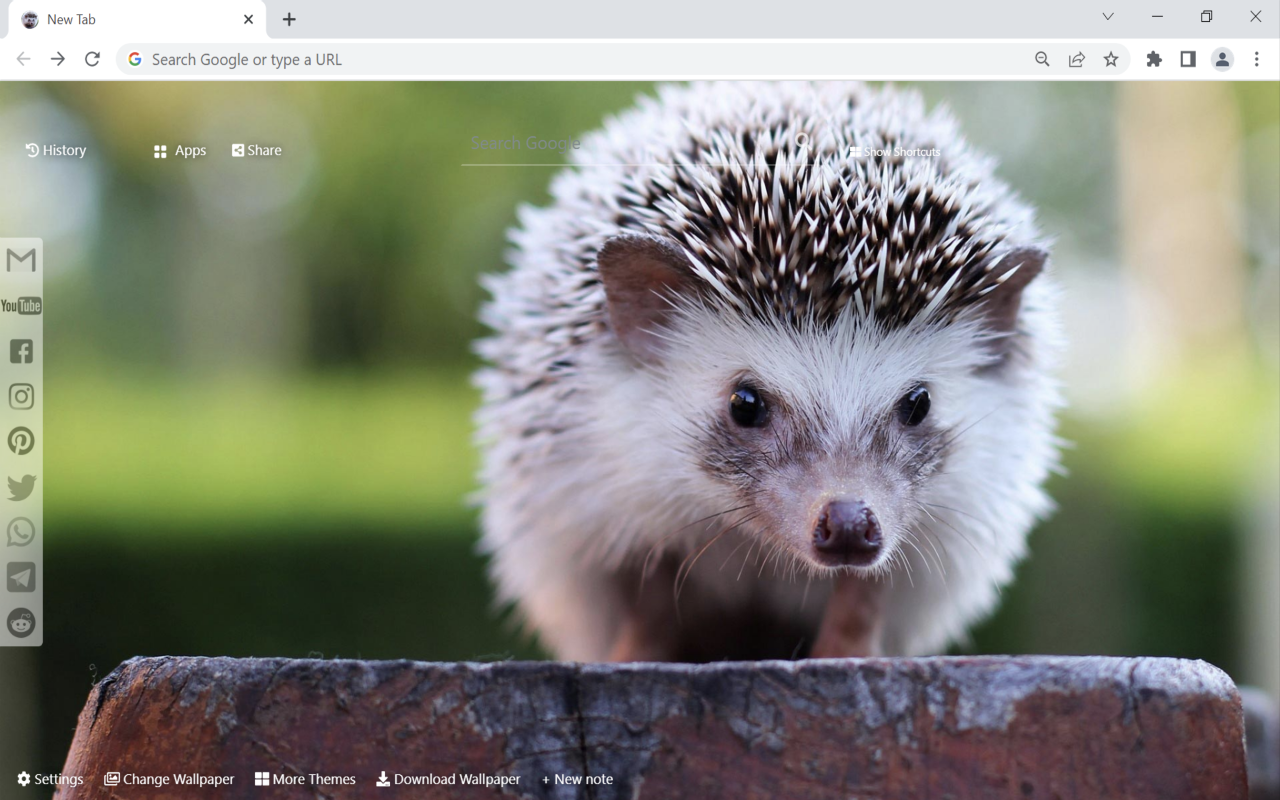 Hedgehog Wallpaper New Tab Preview image 1