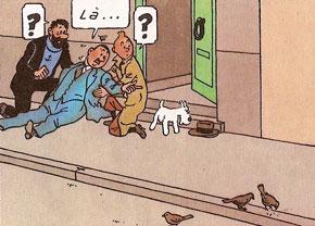 Tintin | Wiki Tintin | Fandom