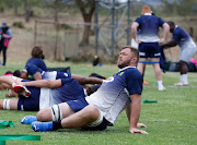 Springbok No 8 Duane Vermeulen has been declared fit for the second Test against New Zealand at Ellis Park.