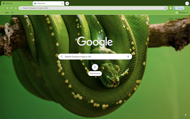 Google Snake Officialin Chrome with by OffiDocs