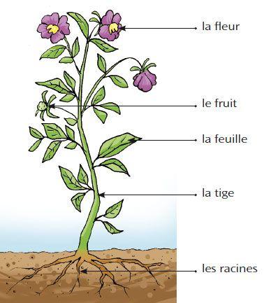 Image result