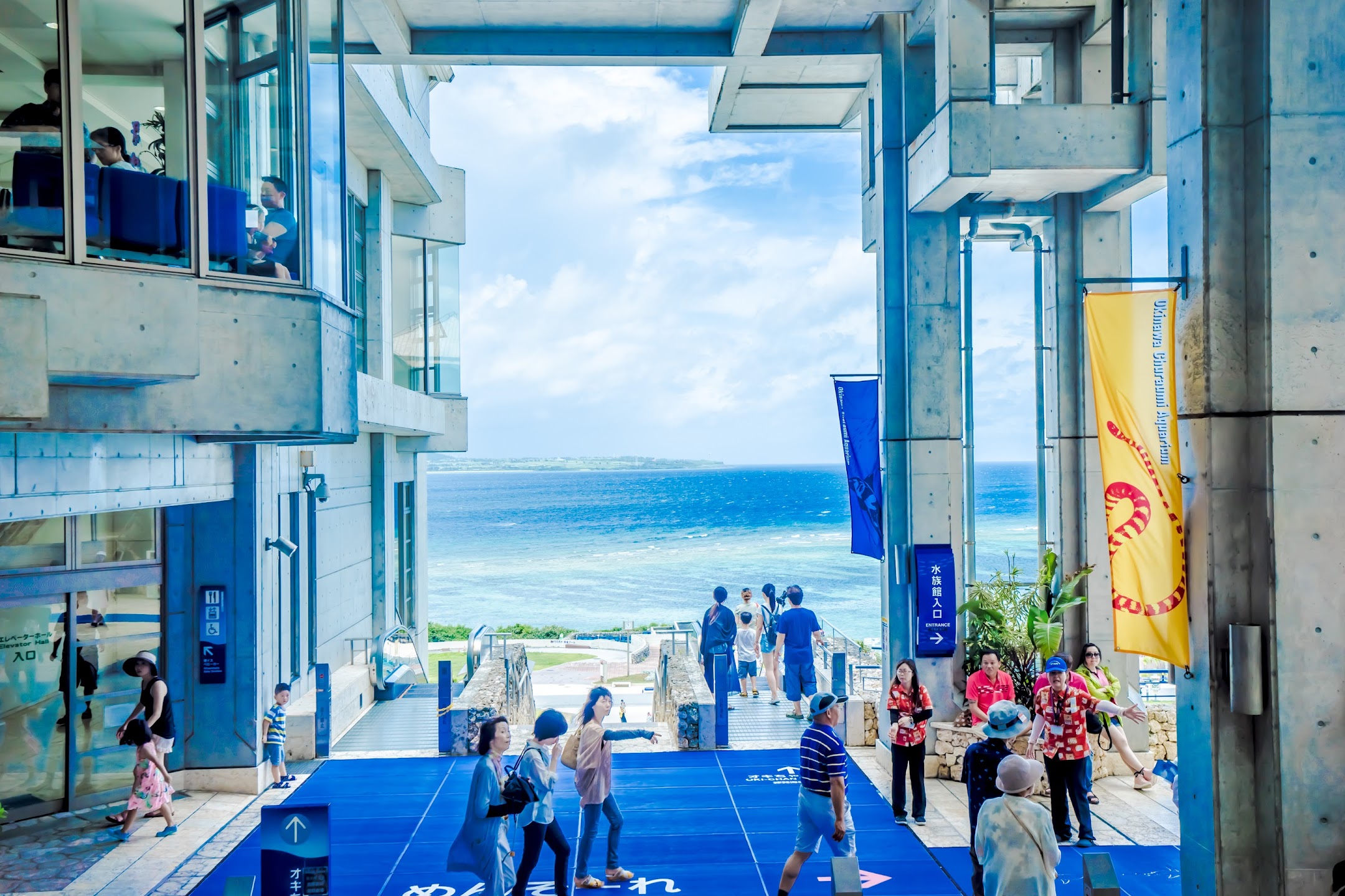 沖縄 美ら海水族館3