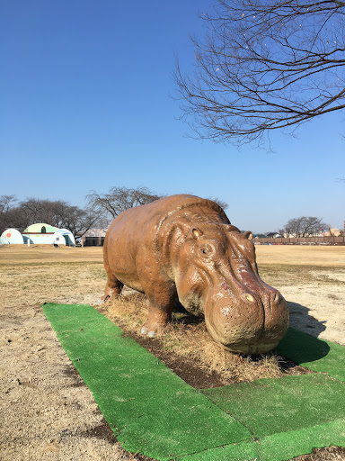 カバちゃん