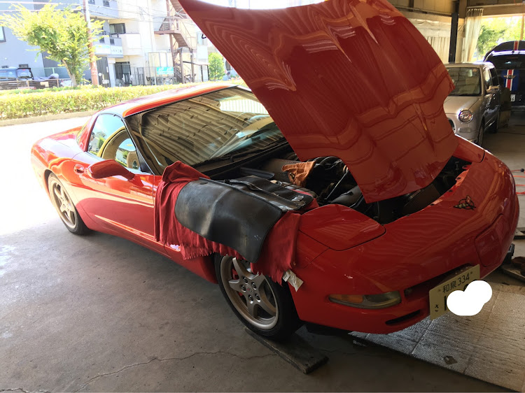 コルベット クーペのオイル交換・C5Z51に関するカスタム事例の投稿画像1枚目
