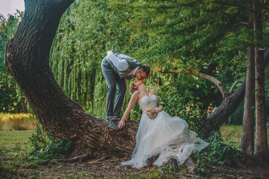 Fotografo di matrimoni Rale Radovic (raleradovic). Foto del 8 settembre 2017