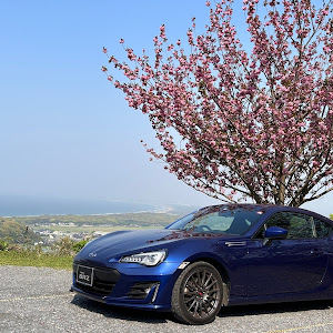 BRZ ZC6