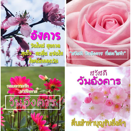 สวัสดีตอนเช้า มาใหม่ล่าสุด