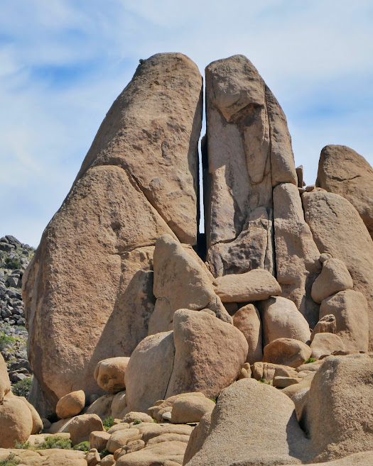 Lunes 15 de abril: Joshua Tree National Park - California combo: Los Angeles, Joshua Tree y Disneyland (5)