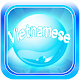 Vietnamese Bubble Bath - Vietnamese Learning App Download on Windows