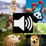 Animal Sounds HD (Free) 1.0 Icon