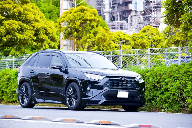 RAV4の地元で撮影・カメラ練習・梅雨入り間近・緑の中に関するカスタム事例の投稿画像1枚目