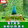 Birds Sounds Download on Windows
