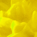 Select Yellow