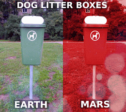 Interplanetary Dog Litter Boxes