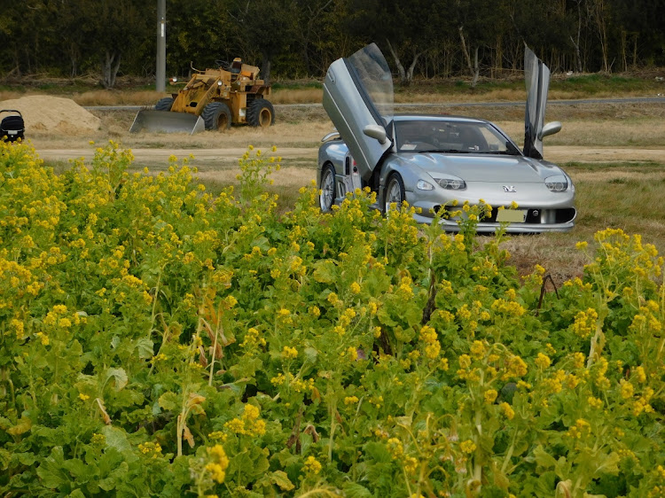 GTOのドライブ・目指せPickUpCars・3度目を目指して・無加工写真・コンデジ撮影に関するカスタム事例の投稿画像4枚目