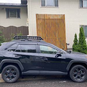 RAV4 MXAA54