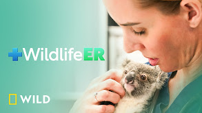 Wildlife ER thumbnail