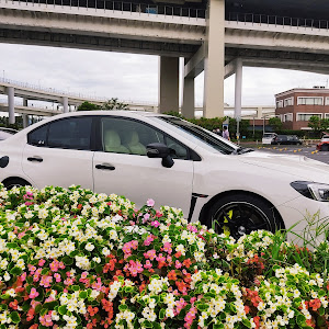 WRX STI VAB