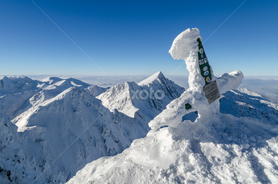 Lespezi peak by George Enescu - Landscapes Mountains & Hills ( mountain, freedom, winter, cold )