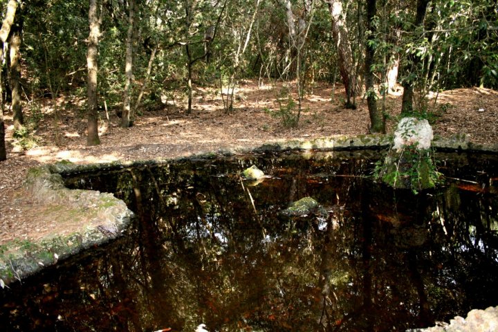 Fontana nel bosco di babons