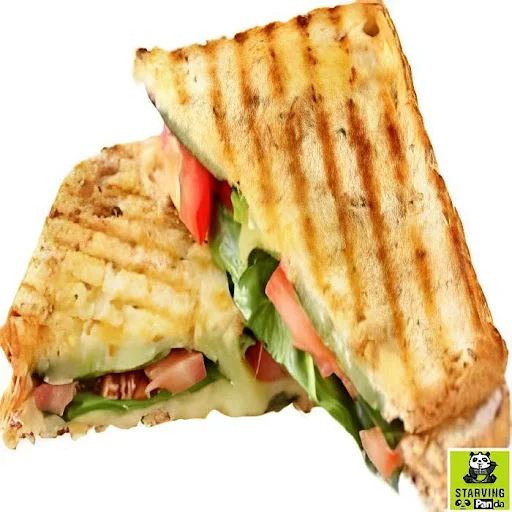 Chicken Grilled Sandwich