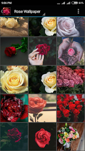 Rose Wallpaper(圖2)-速報App