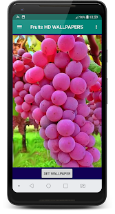 Fruits HD Wallpapers(圖4)-速報App