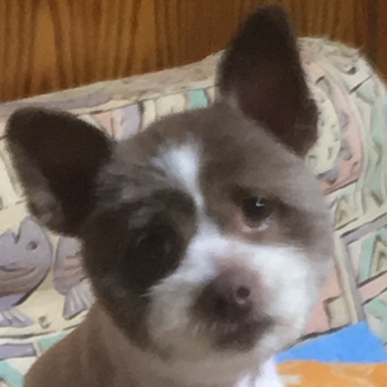 Mrキートンのプロフィール画像