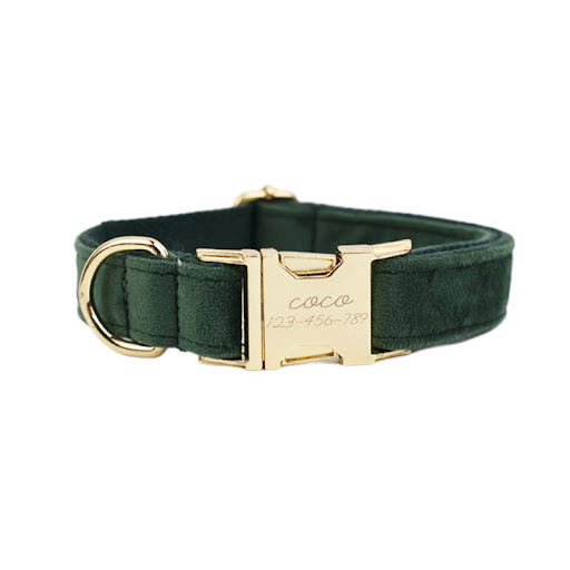 Title 6, Velvet Fabric Dog Collar Soft and stylish for y...