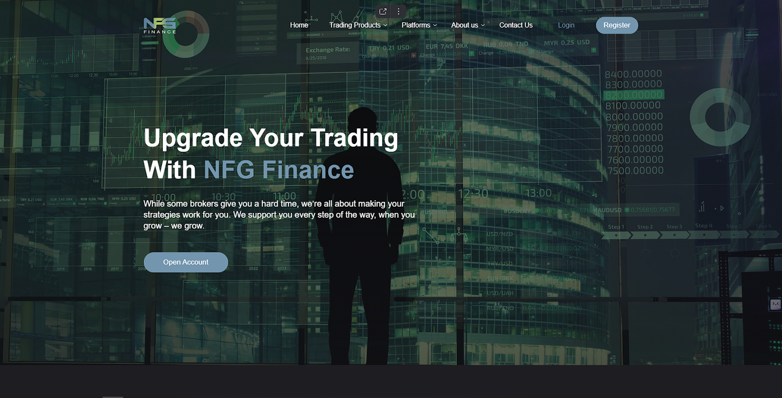 NFG Finance обзор