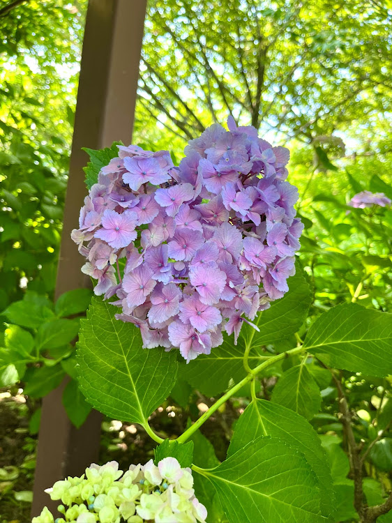 の投稿画像13枚目