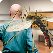 Mosquito 3D Simulator  Icon