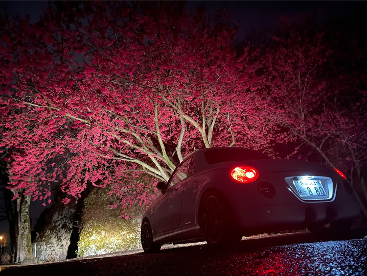 コペンの桜コラボ・緋寒桜・iPhone12Proに関するカスタム事例の投稿画像2枚目