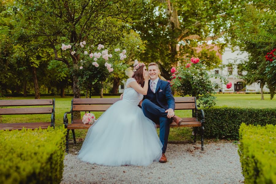 Wedding photographer Vedran Tolić (tolic). Photo of 8 January 2019