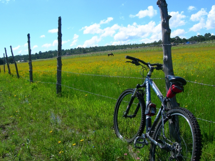 Una naturale biciclettata di sonnenschein