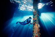 Sylvia Earle, president, co-chairman and founder of Mission Blue, an environmental protection initiative targeting the world’s oceans, and supported by Rolex.