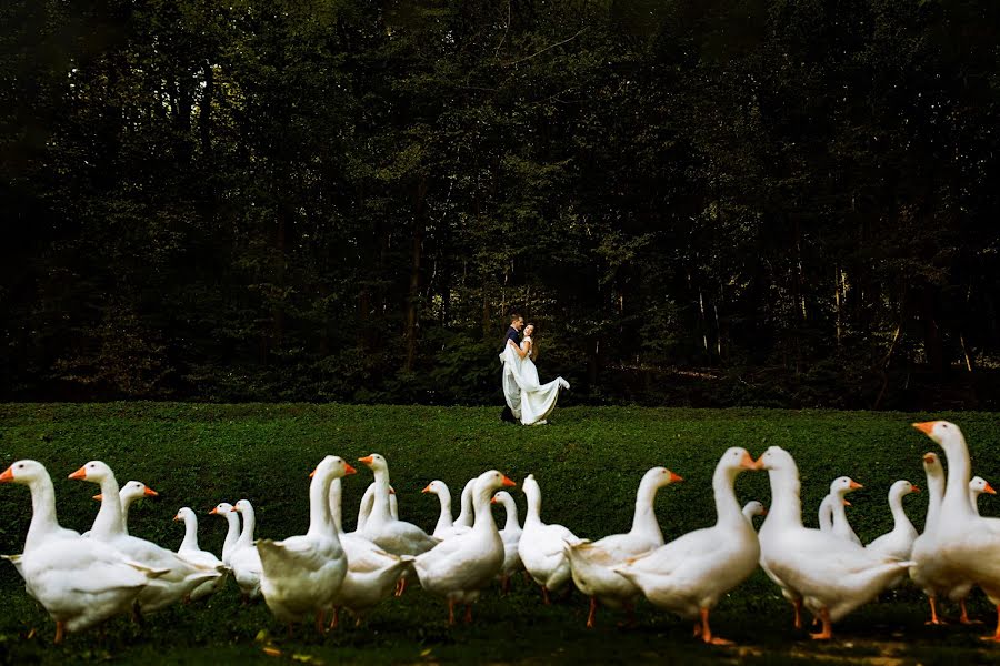 Fotografo di matrimoni Curticapian Calin (calin). Foto del 13 maggio 2019