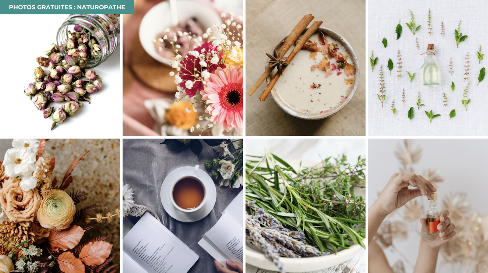 Photos gratuites naturopathe canva