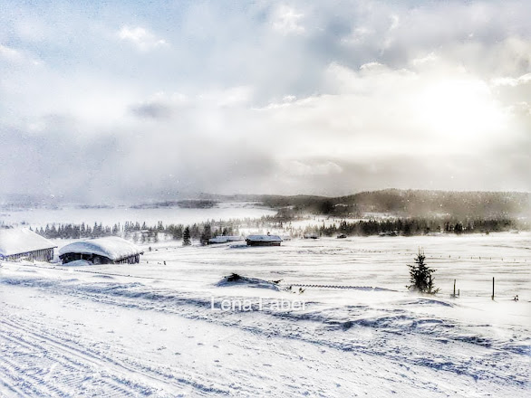 Photo: Skiing in Hornsjo