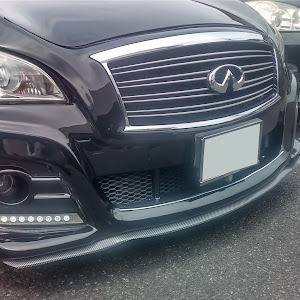 フーガ Y51