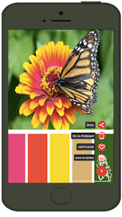 Color Combination Ideas(圖3)-速報App