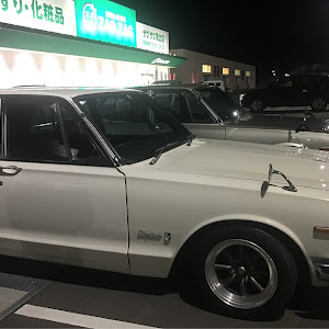 スカイライン