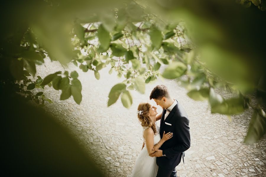 Fotógrafo de bodas Daniel Ferreira (danielprofoto). Foto del 29 de enero 2019