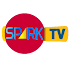 Spark IPTV6