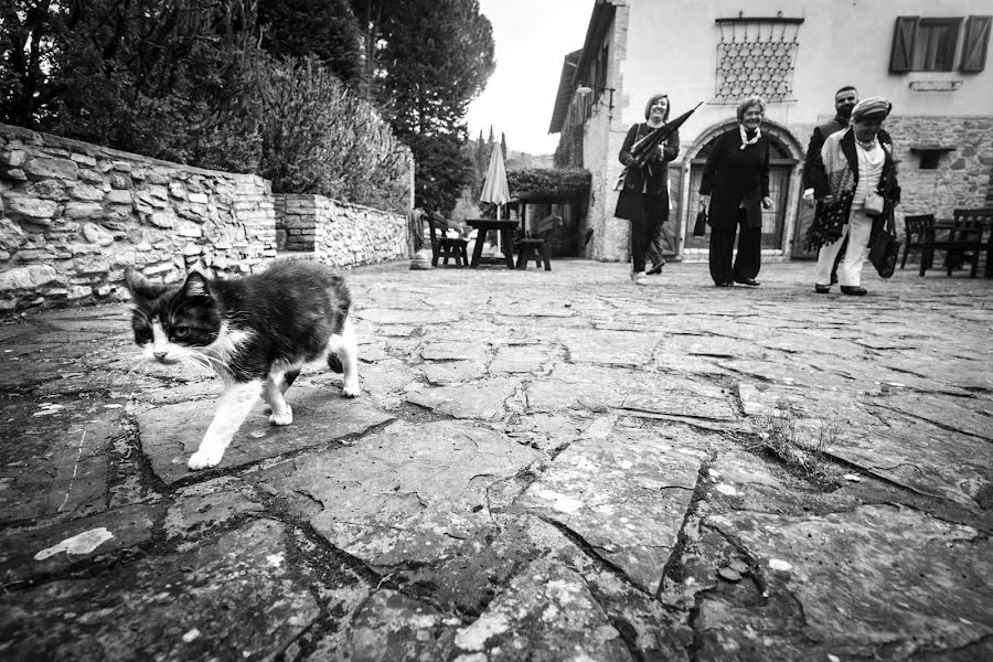 Fotografo di matrimoni Francesco Nigi (francesconigi). Foto del 29 aprile 2019