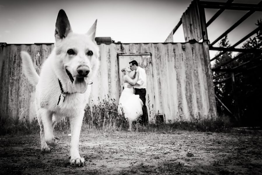 Wedding photographer Marta Urbanelis (urbanelis). Photo of 24 January 2014