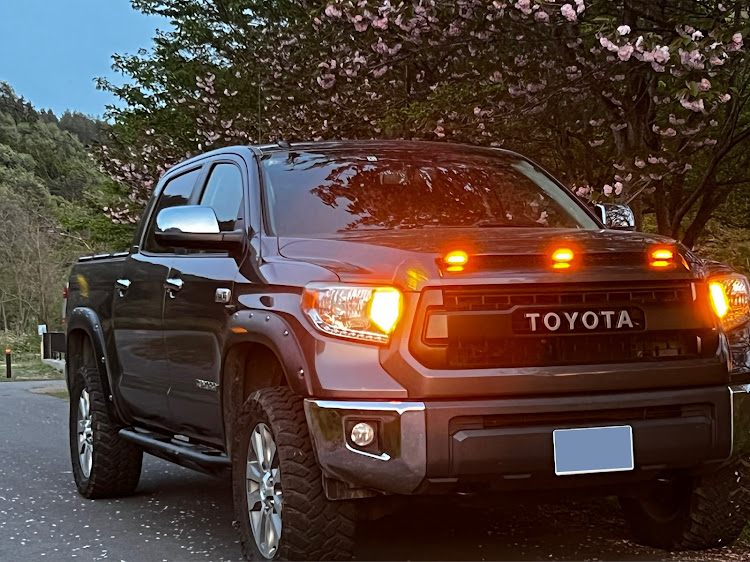 タンドラの桜とコラボ🌸・5月もよろしくお願いします・母の日・低そうで低くない少し低い車・ドライブに関するカスタム事例の投稿画像1枚目