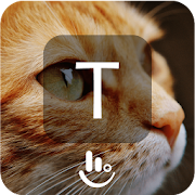 Cute Kitty Keyboard Theme  Icon